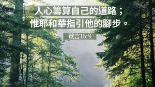 人心籌算自己的道路；惟耶和華指引他的腳步。 箴言 16:9